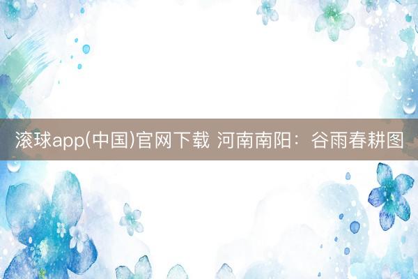 滚球app(中国)官网下载 河南南阳：谷雨春耕图