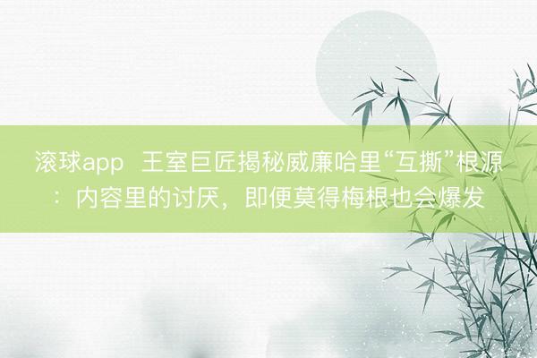 滚球app  王室巨匠揭秘威廉哈里“互撕”根源：内容里的讨厌，即便莫得梅根也会爆发