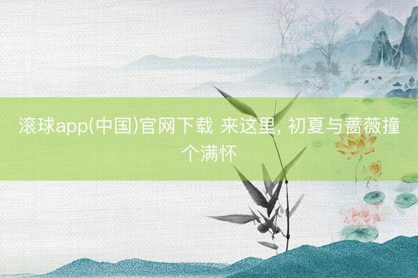 滚球app(中国)官网下载 来这里， 初夏与蔷薇撞个满怀