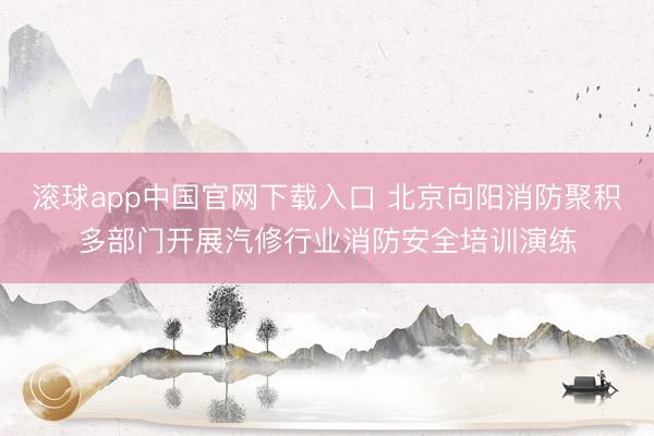 滚球app中国官网下载入口 北京向阳消防聚积多部门开展汽修行业消防安全培训演练