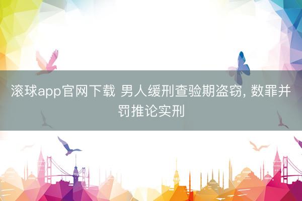 滚球app官网下载 男人缓刑查验期盗窃， 数罪并罚推论实刑