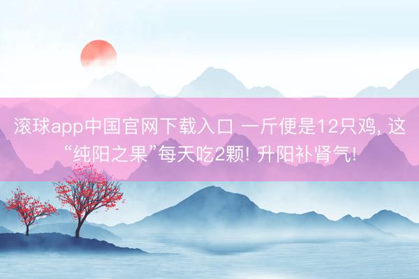 滚球app中国官网下载入口 一斤便是12只鸡， 这“纯阳之果”每天吃2颗! 升阳补肾气!