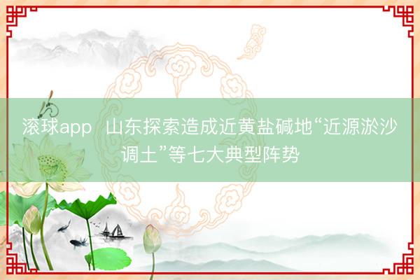 滚球app  山东探索造成近黄盐碱地“近源淤沙调土”等七大典型阵势