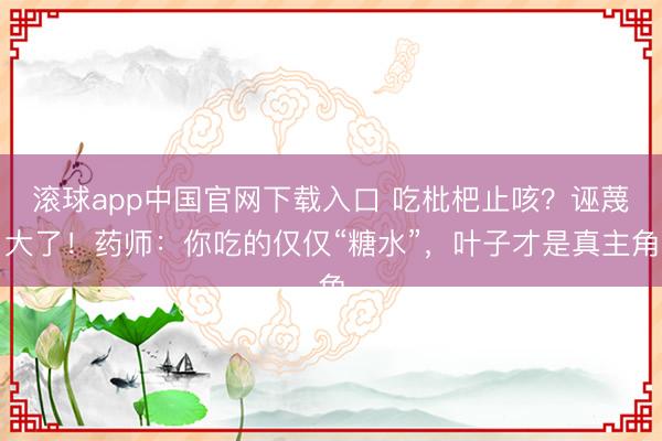 滚球app中国官网下载入口 吃枇杷止咳？诬蔑大了！药师：你吃的仅仅“糖水”，叶子才是真主角