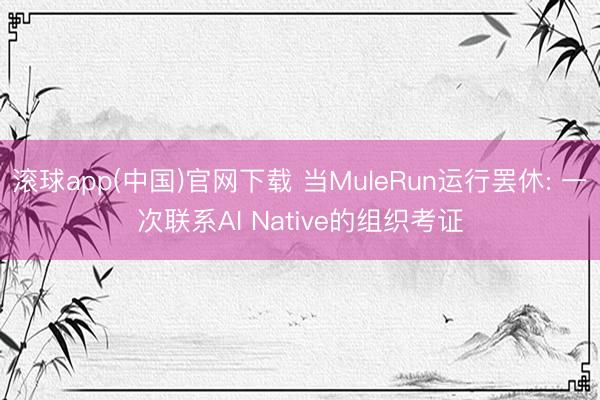 滚球app(中国)官网下载 当MuleRun运行罢休: 一次联系AI Native的组织考证