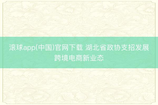 滚球app(中国)官网下载 湖北省政协支招发展跨境电商新业态