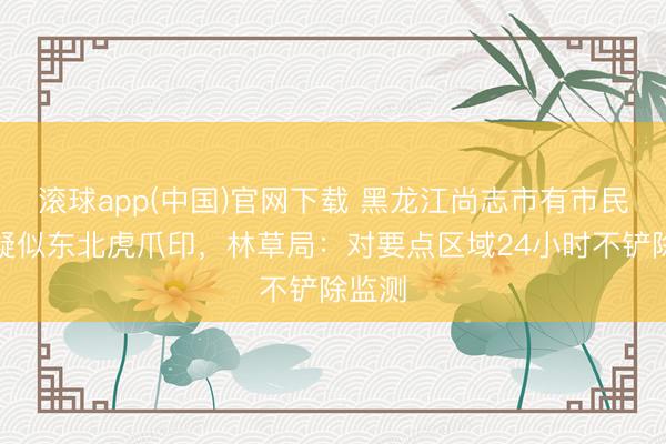 滚球app(中国)官网下载 黑龙江尚志市有市民拍到疑似东北虎爪印，林草局：对要点区域24小时不铲除监测