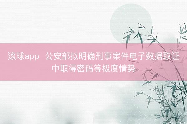 滚球app  公安部拟明确刑事案件电子数据取证中取得密码等极度情势