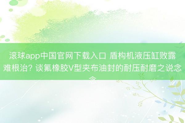 滚球app中国官网下载入口 盾构机液压缸败露难根治? 谈氟橡胶V型夹布油封的耐压耐磨之说念