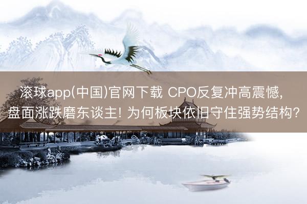 滚球app(中国)官网下载 CPO反复冲高震憾， 盘面涨跌磨东谈主! 为何板块依旧守住强势结构?