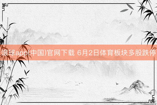 滚球app(中国)官网下载 6月2日体育板块多股跌停