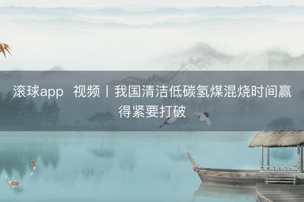 滚球app  视频丨我国清洁低碳氢煤混烧时间赢得紧要打破