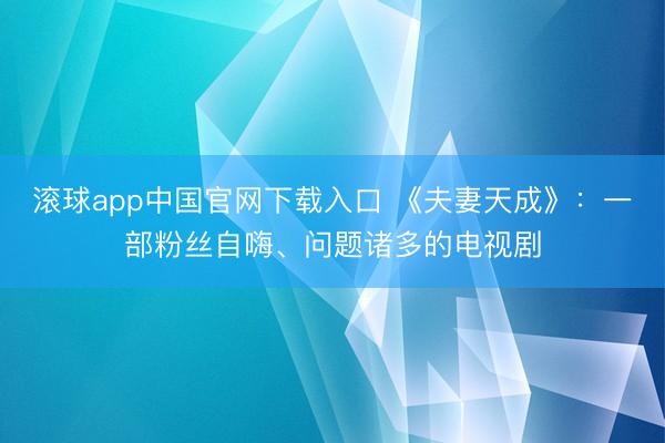 滚球app中国官网下载入口 《夫妻天成》：一部粉丝自嗨、问题诸多的电视剧