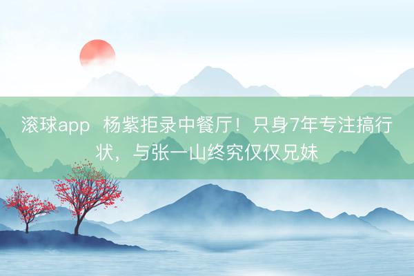 滚球app  杨紫拒录中餐厅！只身7年专注搞行状，与张一山终究仅仅兄妹