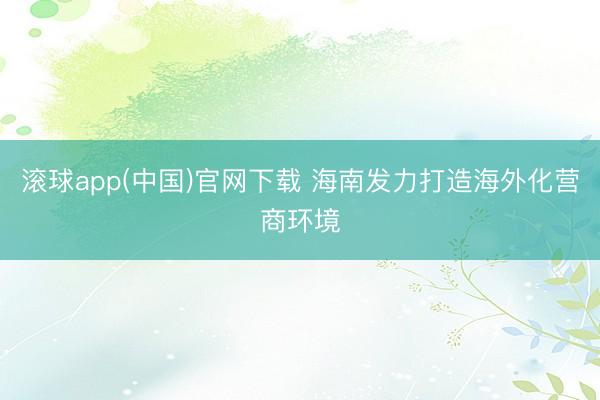 滚球app(中国)官网下载 海南发力打造海外化营商环境