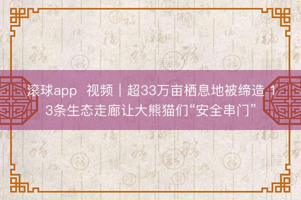 滚球app  视频｜超33万亩栖息地被缔造 13条生态走廊让大熊猫们“安全串门”