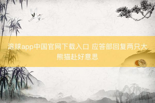 滚球app中国官网下载入口 应答部回复两只大熊猫赴好意思