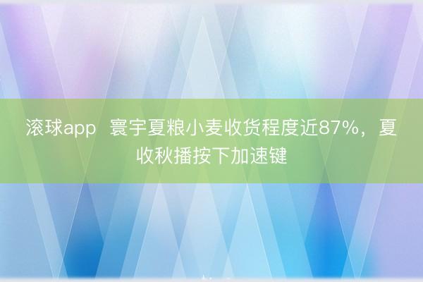 滚球app  寰宇夏粮小麦收货程度近87%，夏收秋播按下加速键