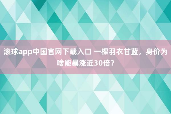 滚球app中国官网下载入口 一棵羽衣甘蓝，身价为啥能暴涨近30倍？