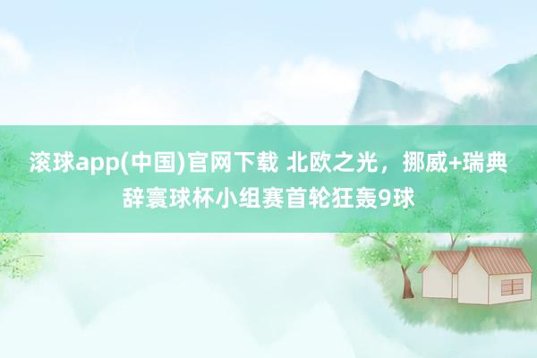 滚球app(中国)官网下载 北欧之光，挪威+瑞典辞寰球杯小组赛首轮狂轰9球
