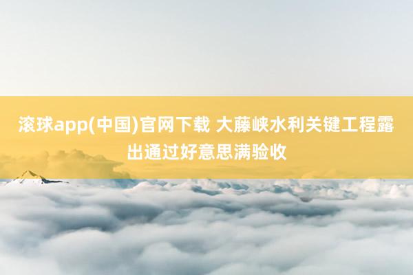 滚球app(中国)官网下载 大藤峡水利关键工程露出通过好意思满验收