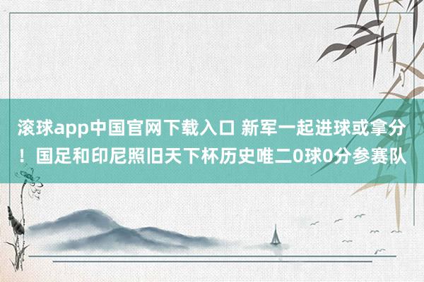 滚球app中国官网下载入口 新军一起进球或拿分!国足和印尼照旧天下杯历史唯二0球0分参赛队