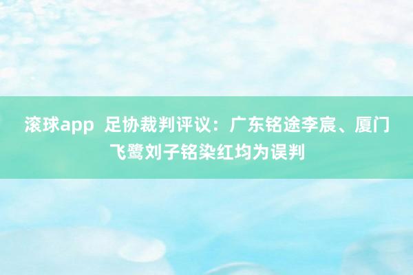 滚球app  足协裁判评议：广东铭途李宸、厦门飞鹭刘子铭染红均为误判