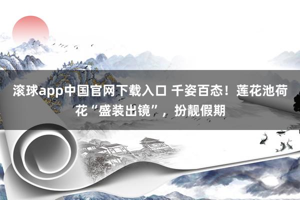 滚球app中国官网下载入口 千姿百态!莲花池荷花“盛装出镜”,扮靓假期